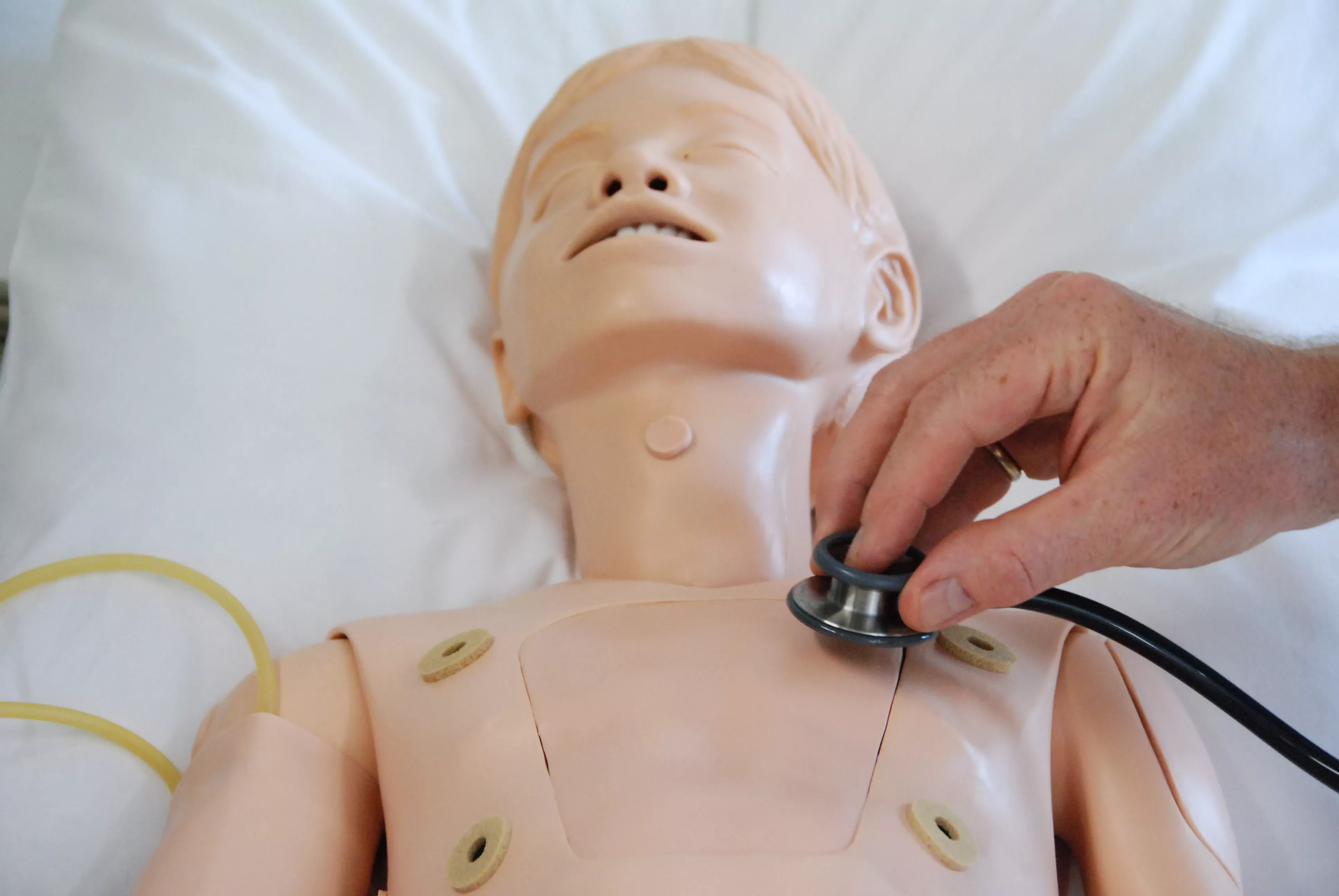 Année propédeutique santé - APS